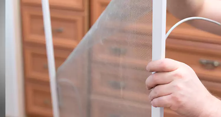 Privacy Mesh Screen Door Installation in St. Cloud, FL